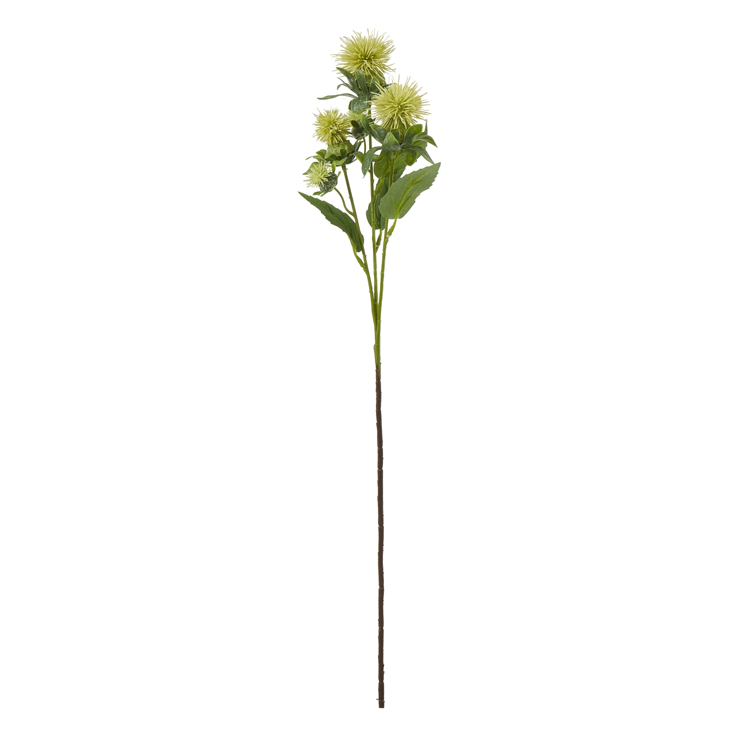 Blanor Green Safflower Spray