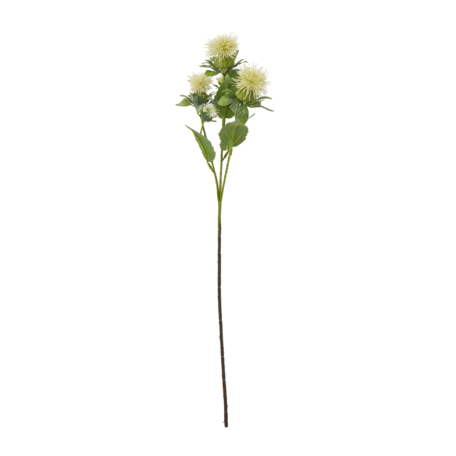 Cremo Safflower Spray