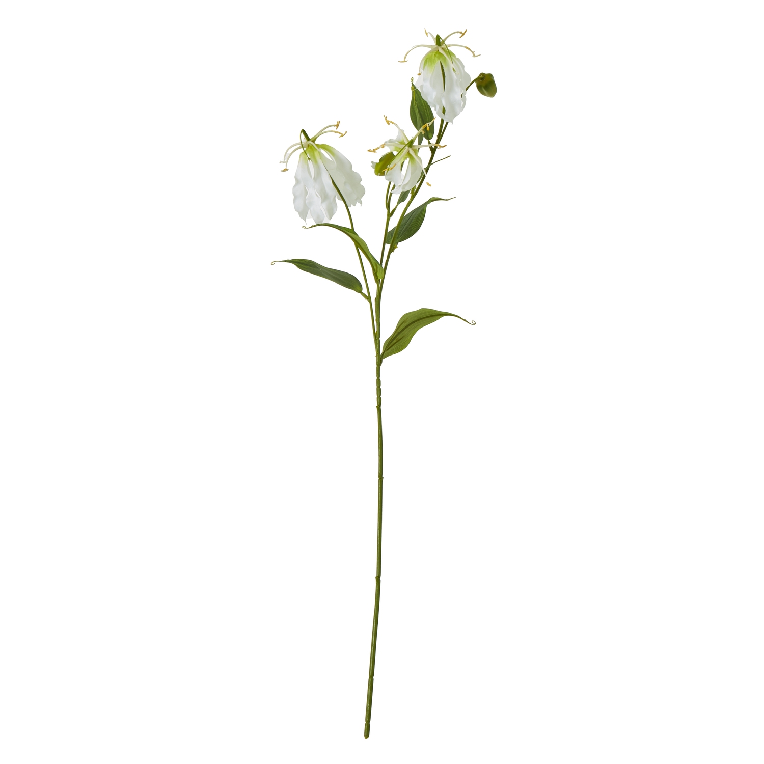 Cremo Gloriosa Spray