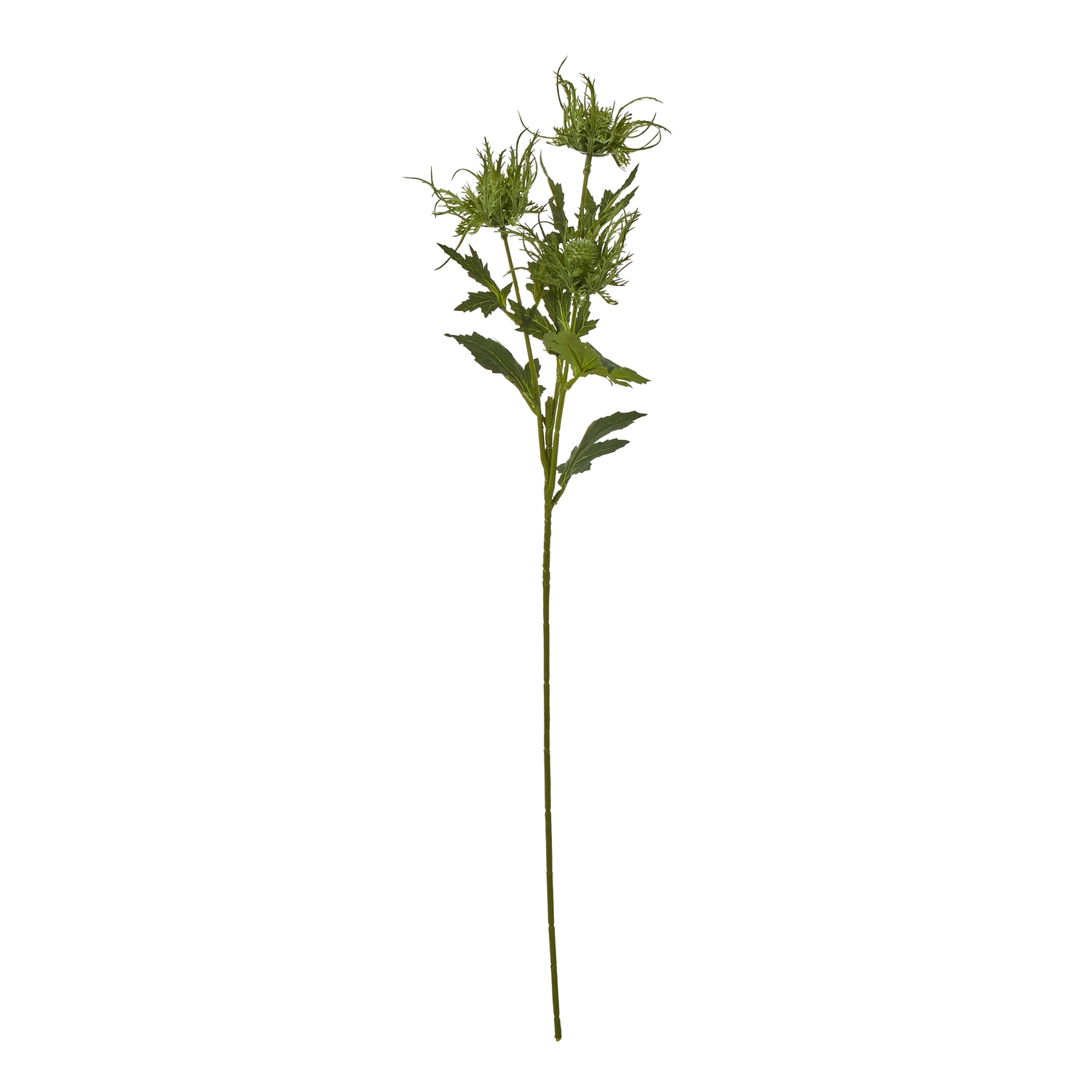 Blanor Green Sea Holly Spray