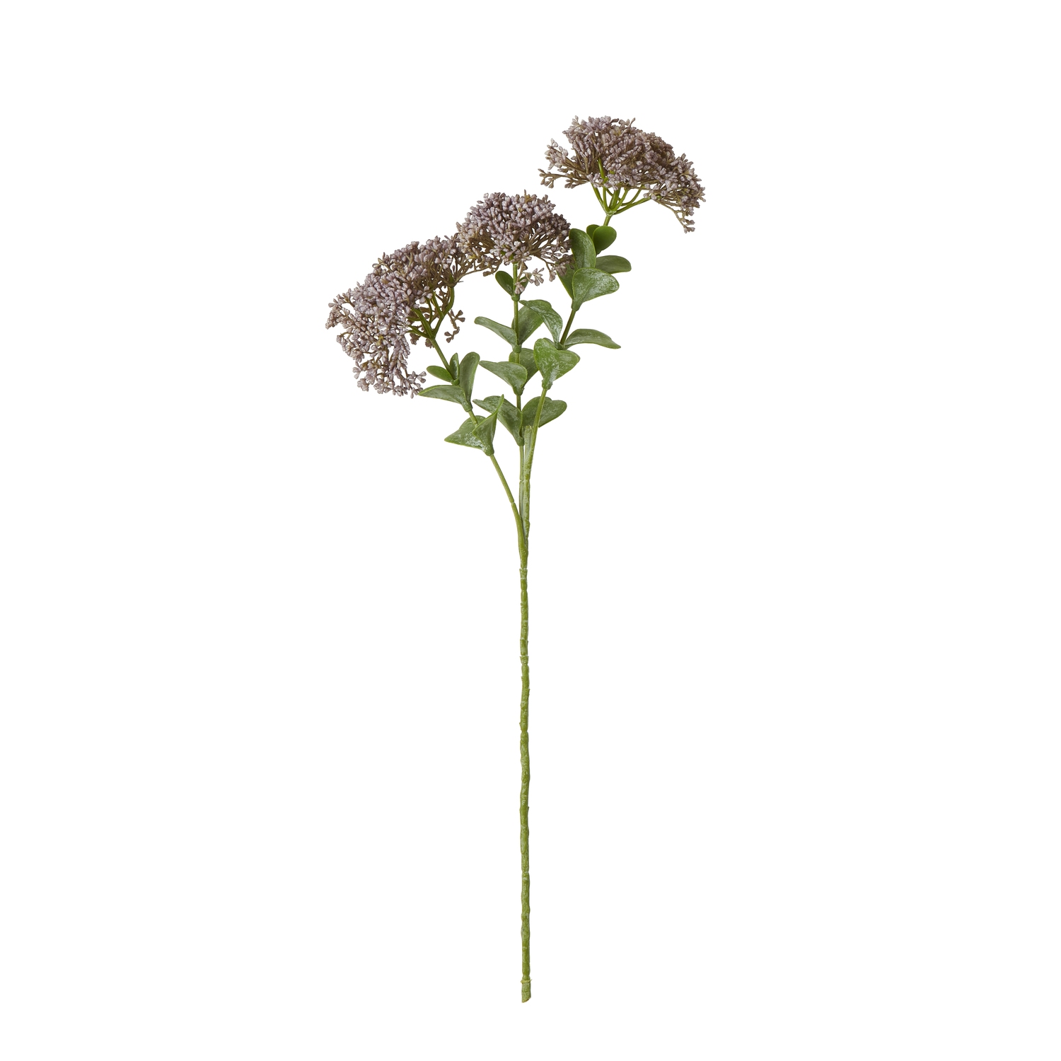 Purpo Sedum Spray