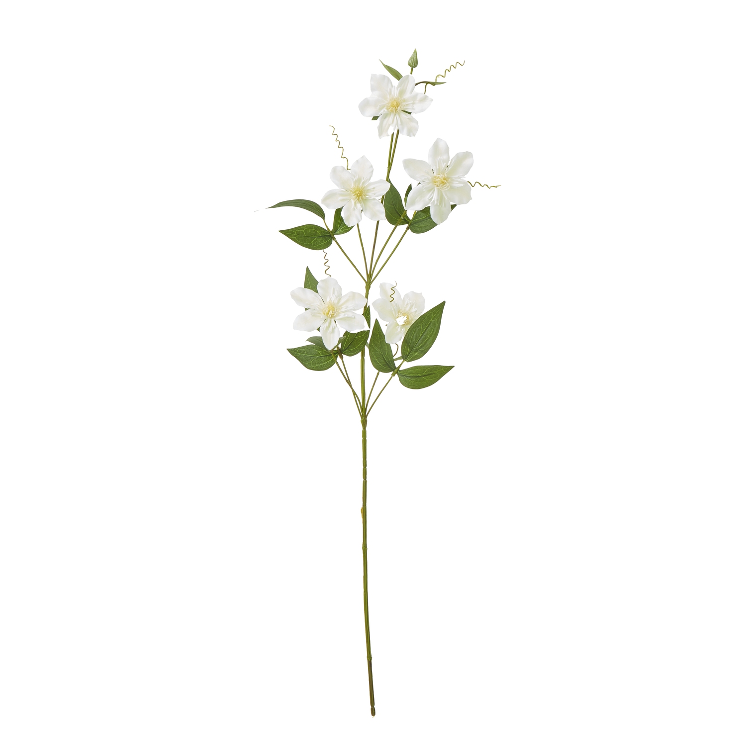 Cremo Pearl Clematis Spray