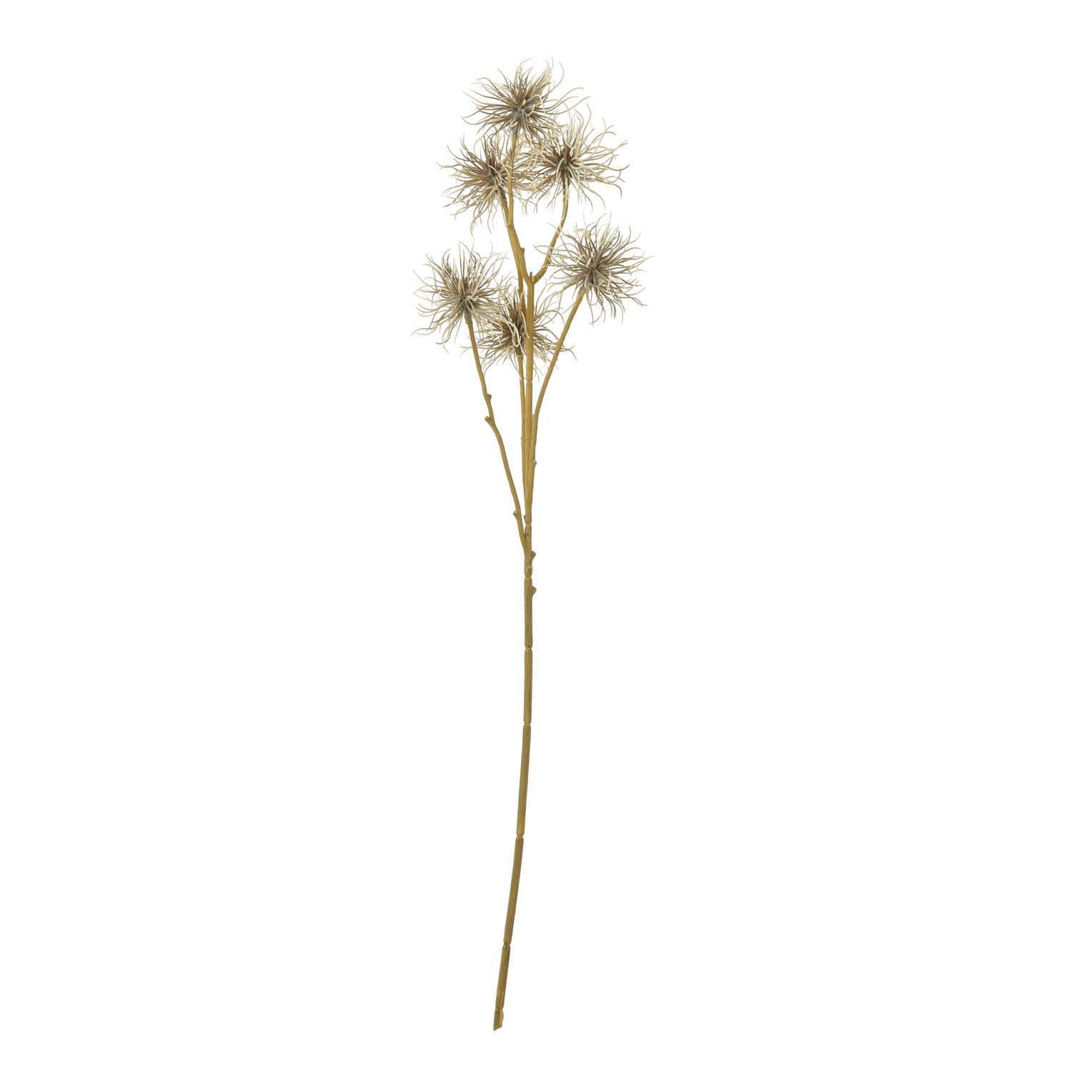 Blanor Brown Xanthium Spray