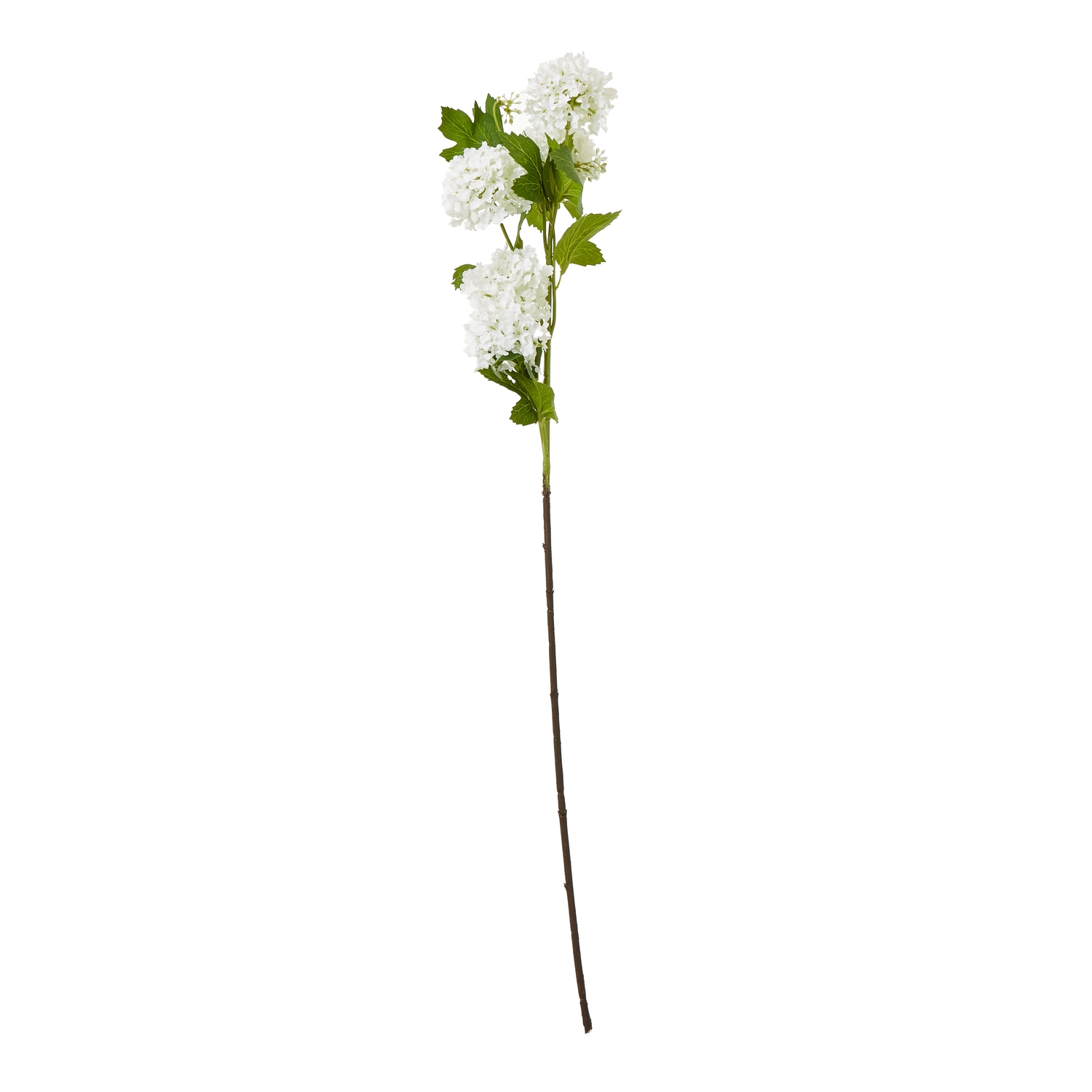 Cremo Snowball Viburnum Spray
