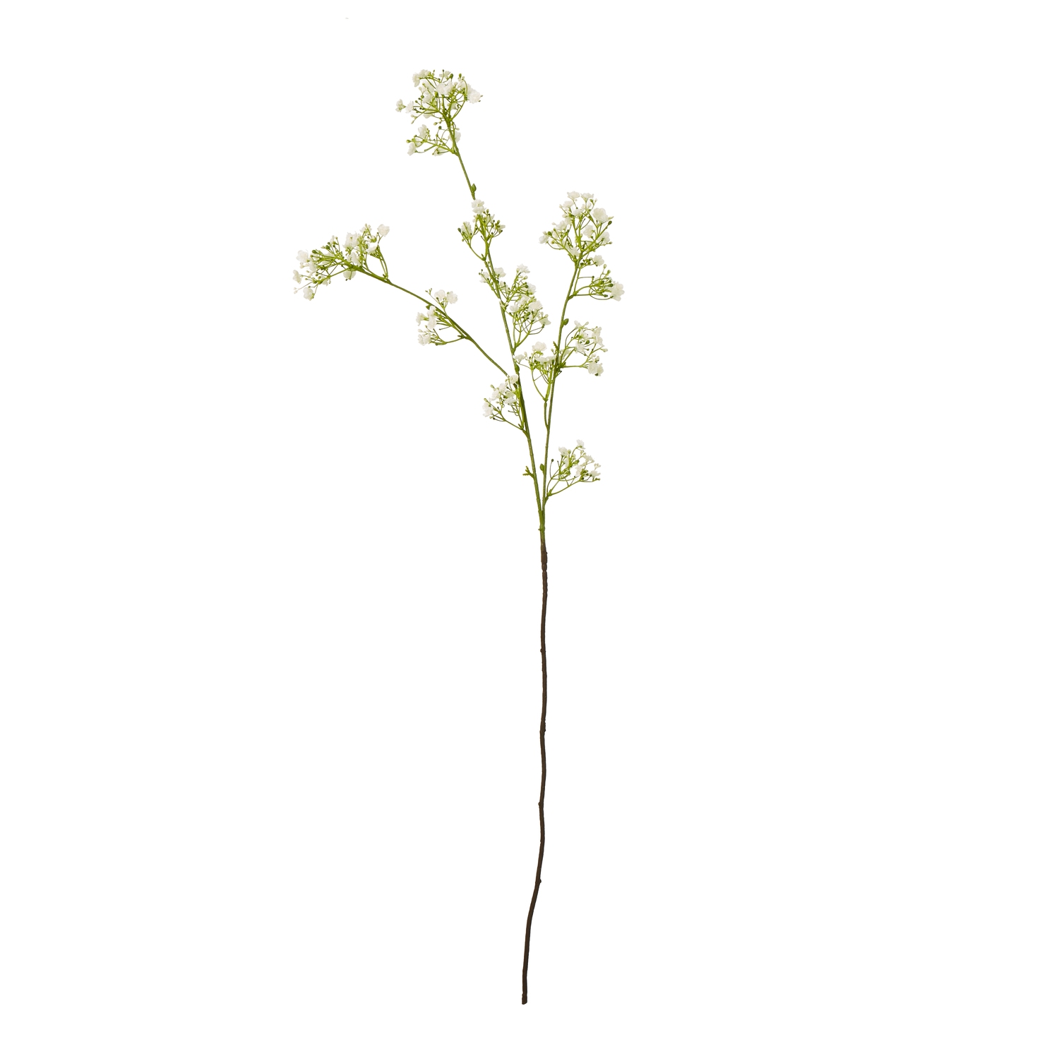 Cremo Gypsophila Spray