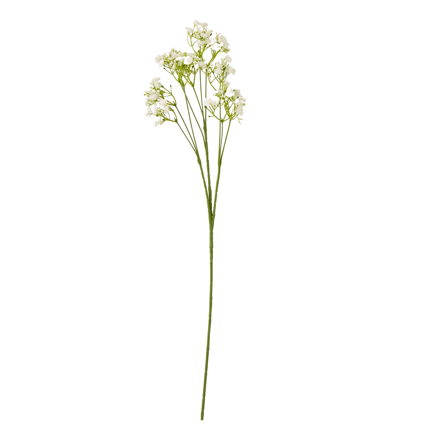 Cremo Gypsophila Stem