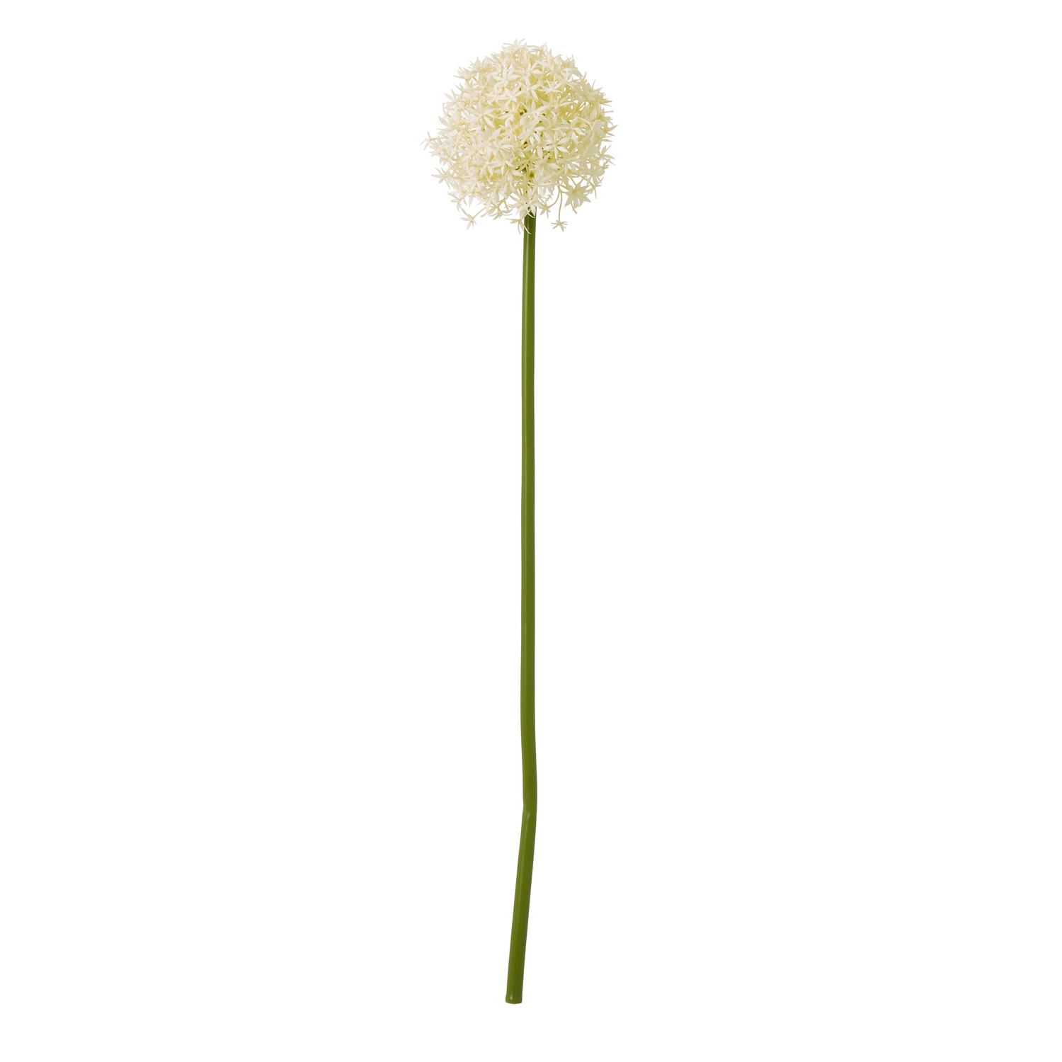 Cremo Allium Stem - Medium