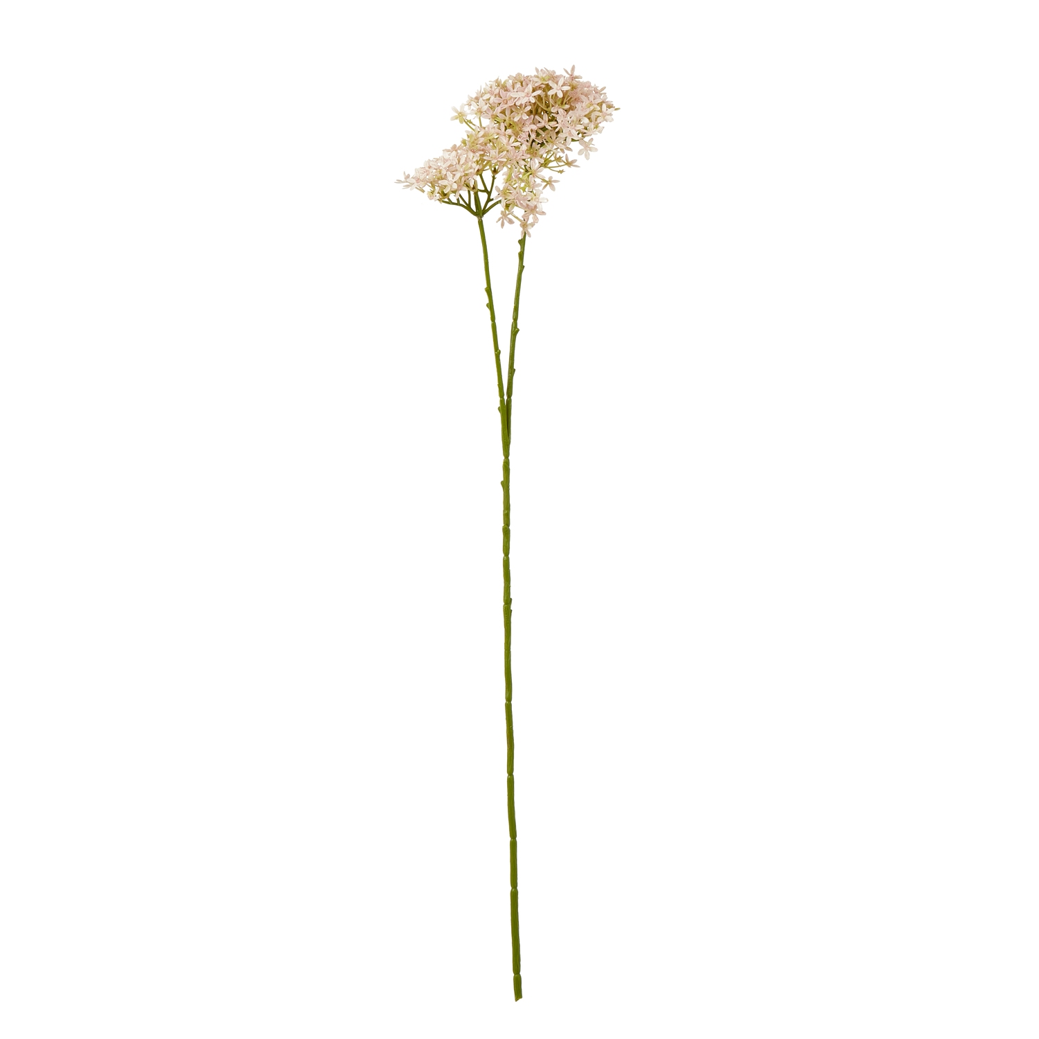 Blanor Pink Crown Hydrangea Stem