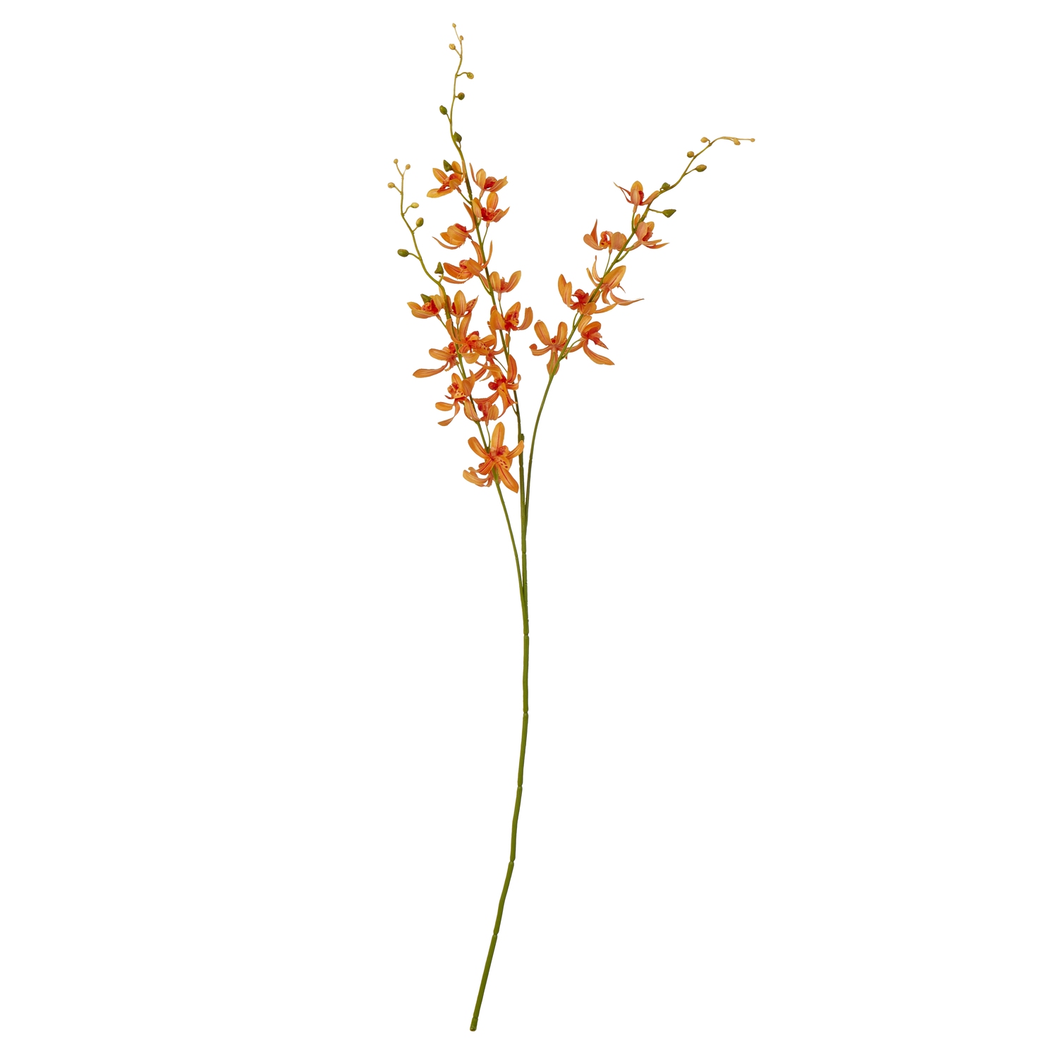 Blanor Orange Cymbidium Spray