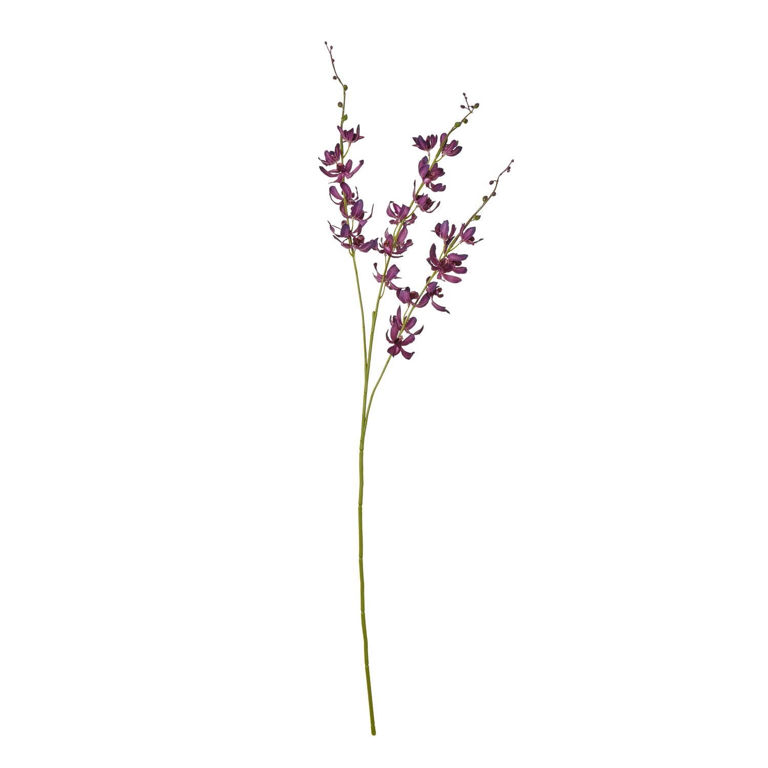 Purpo Cymbidium Spray