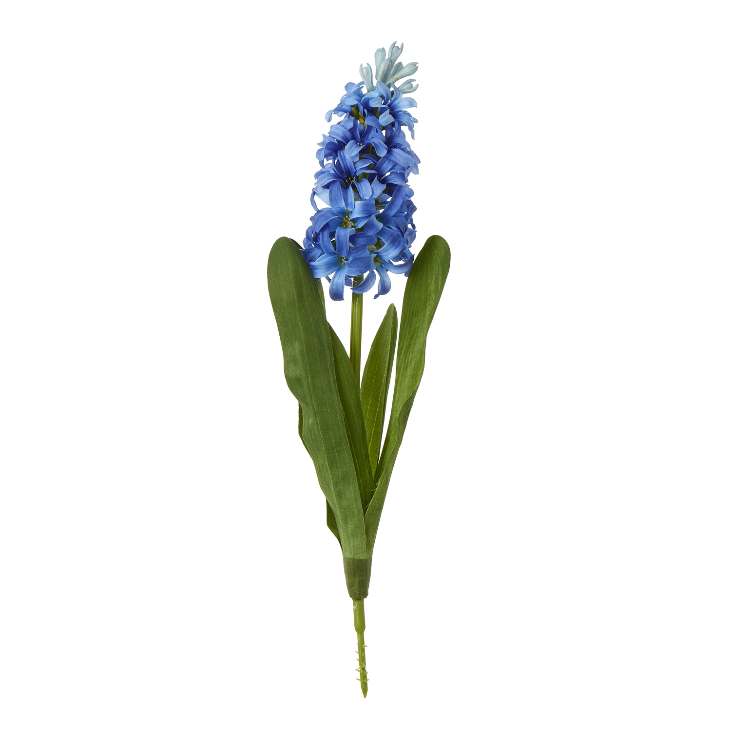Blanor Blue Hyacinth Stem