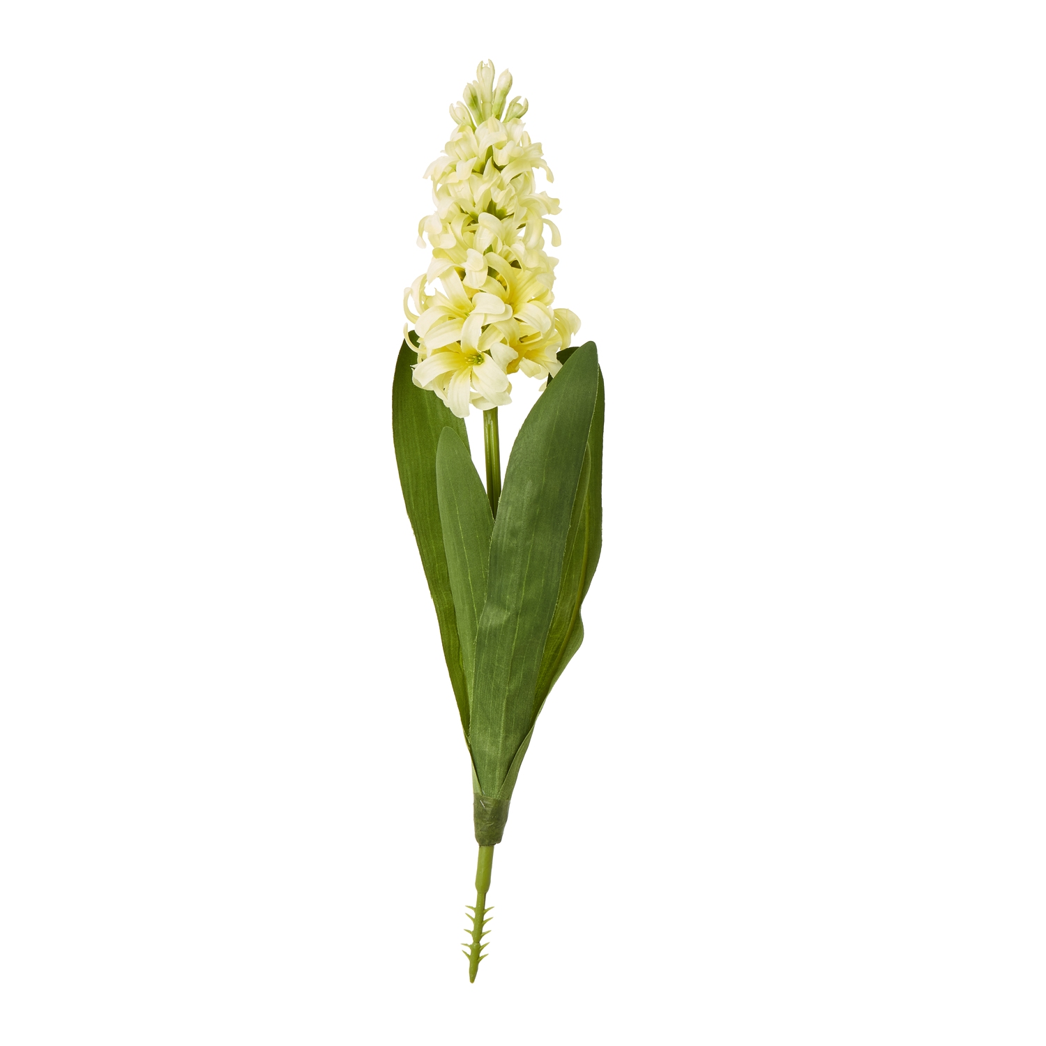 Blanor Yellow Hyacinth Stem