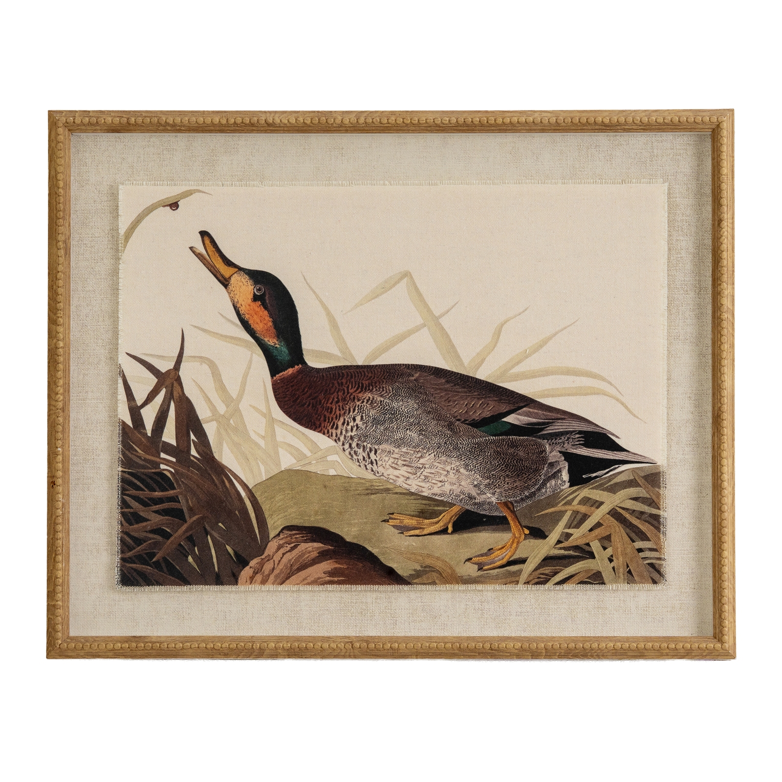 Flor Duck Art In Beaded Frame