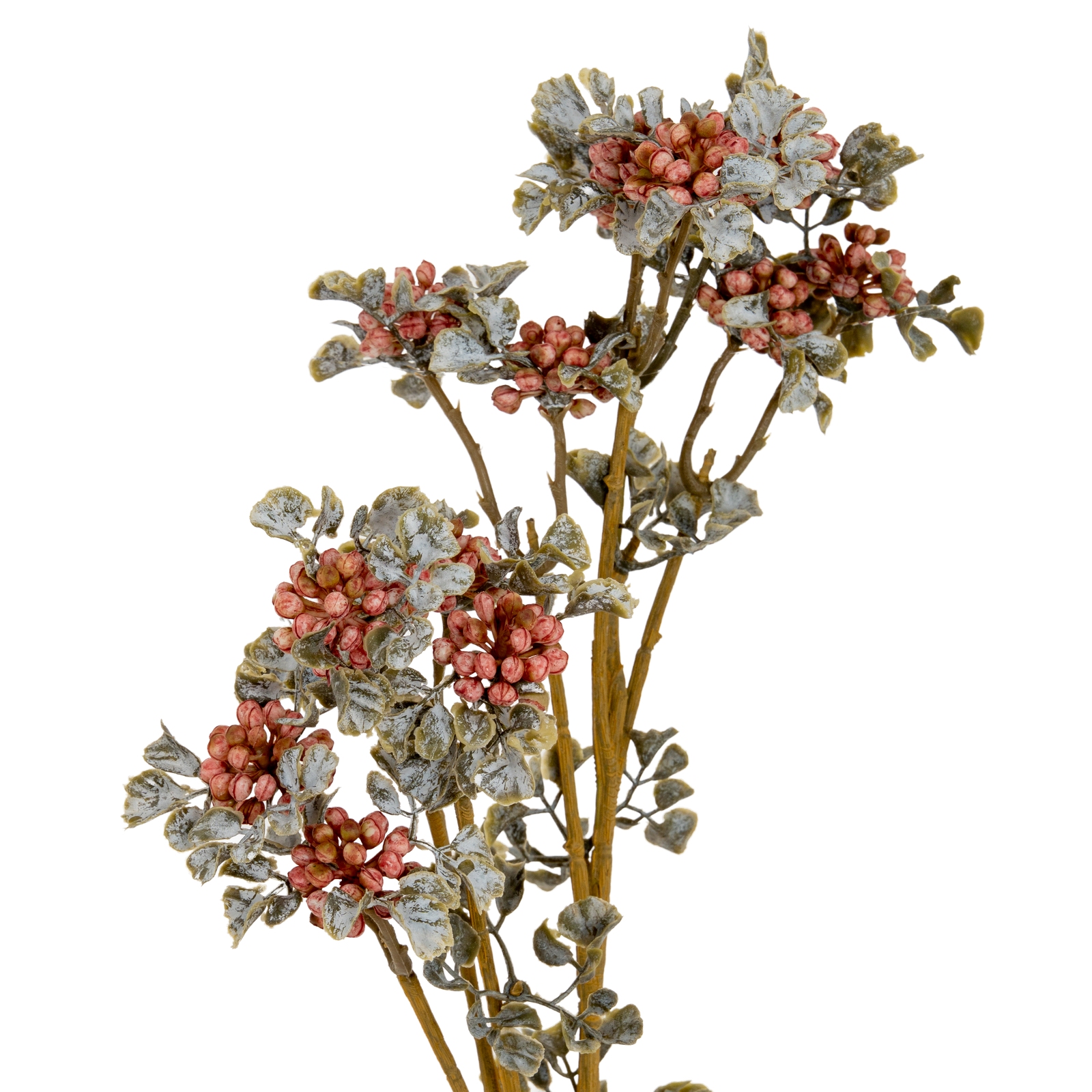 Blanor Pink Berry Spray