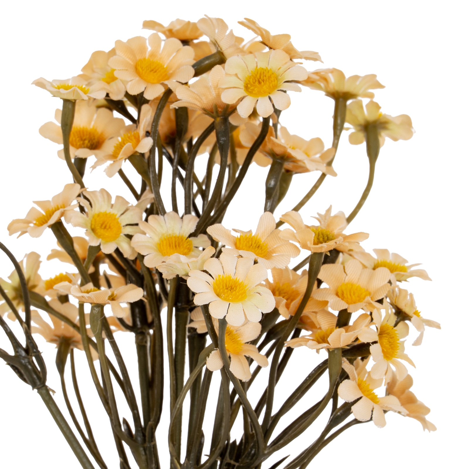 Cremo Daisy Bunch