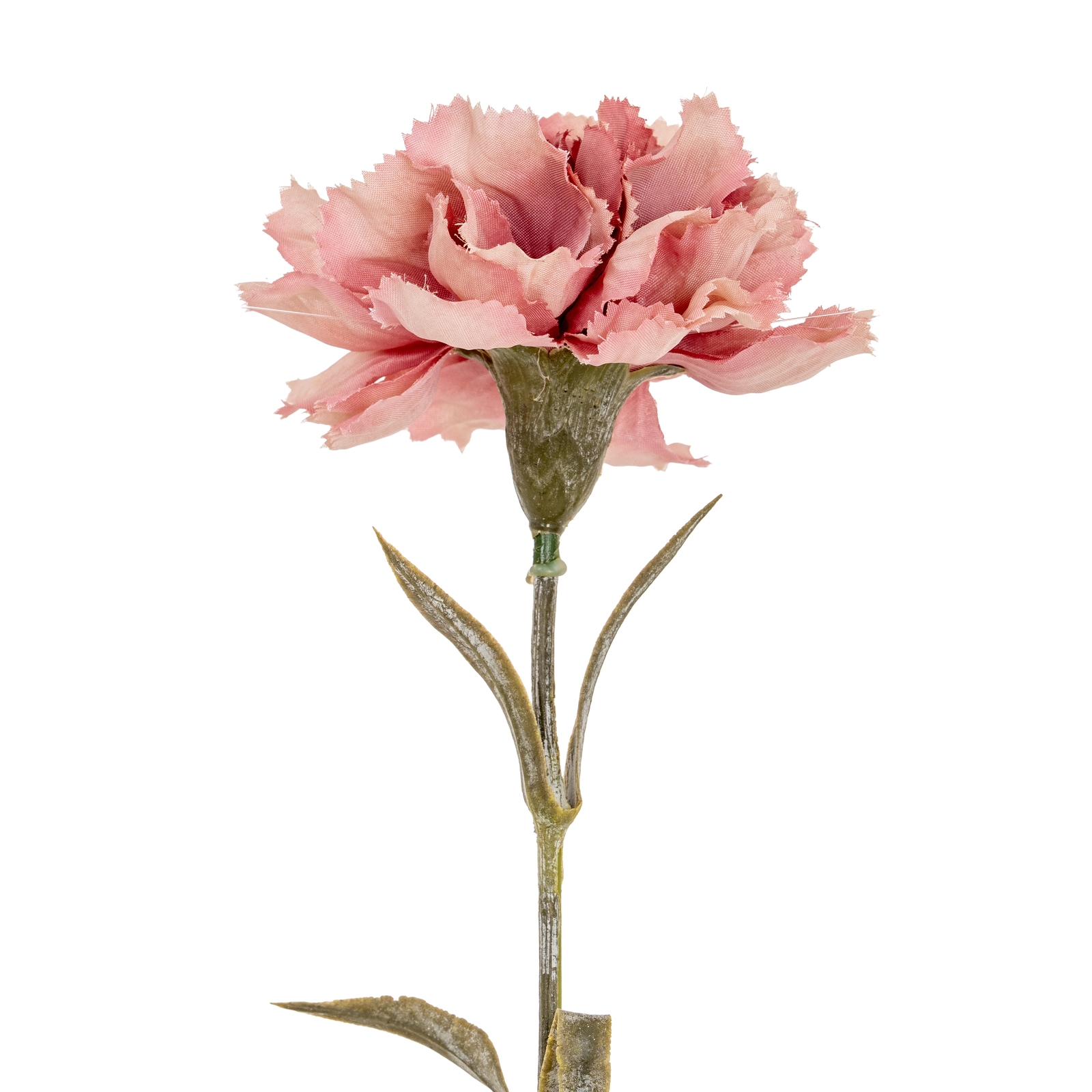 Blanor Pink Carnation Stem