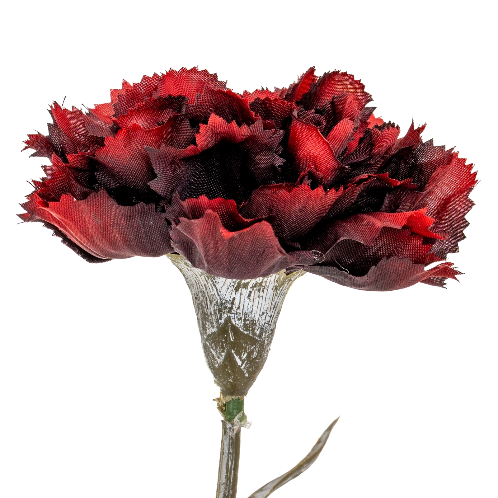 Burgo Carnation Stem