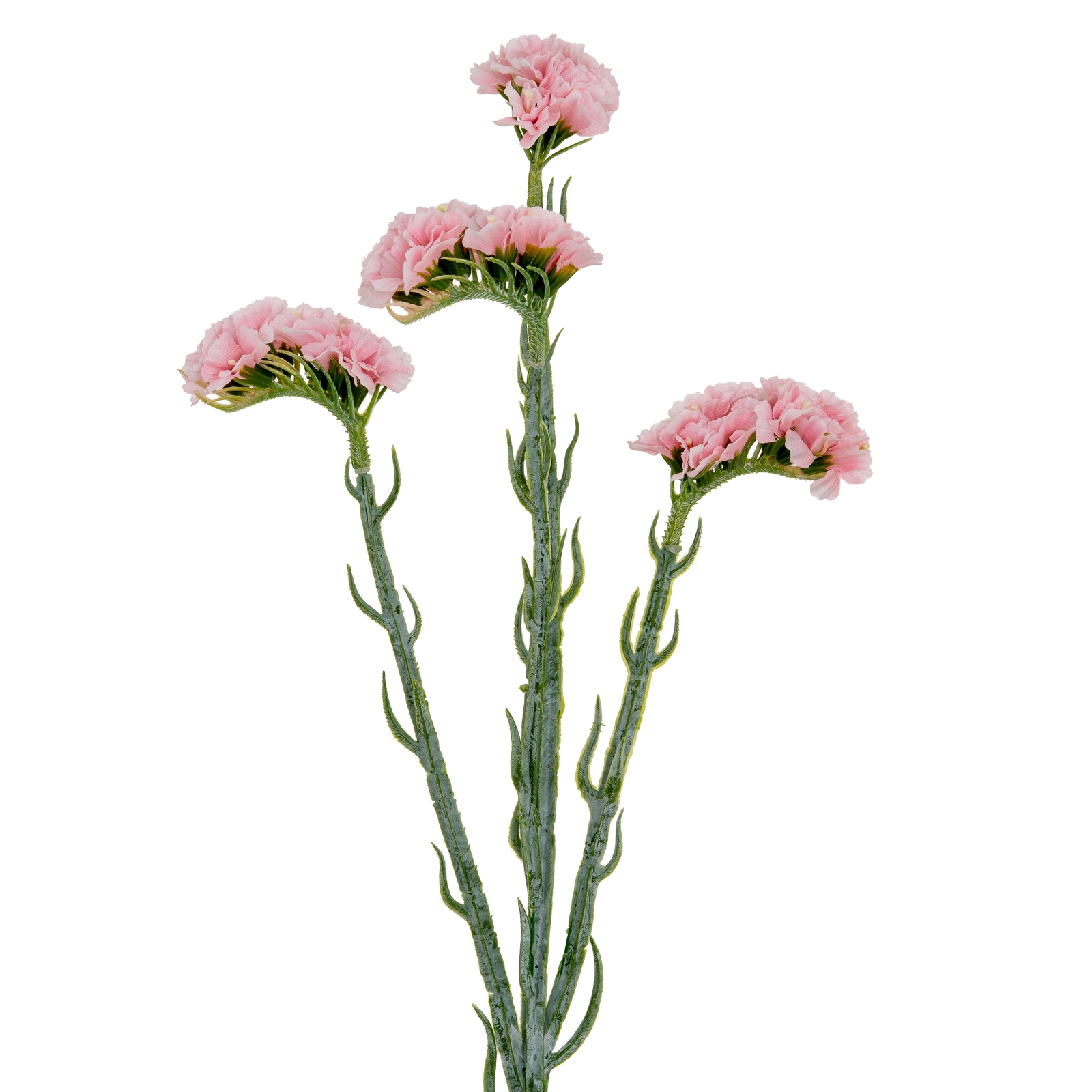 Blanor Pink Statice Spray