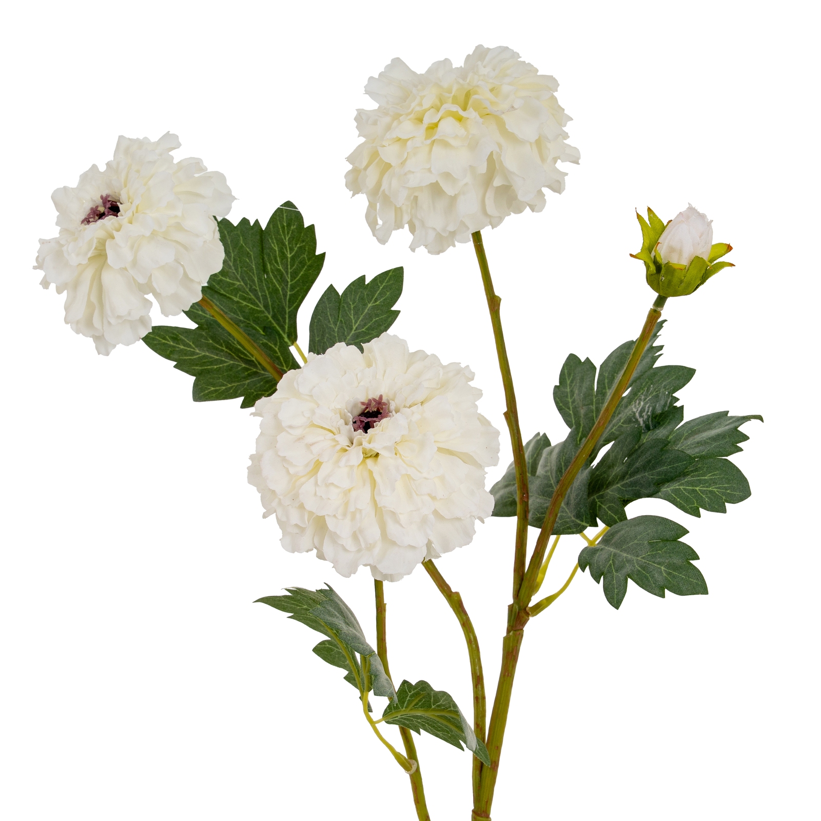 African Marigold Spray - Large - White