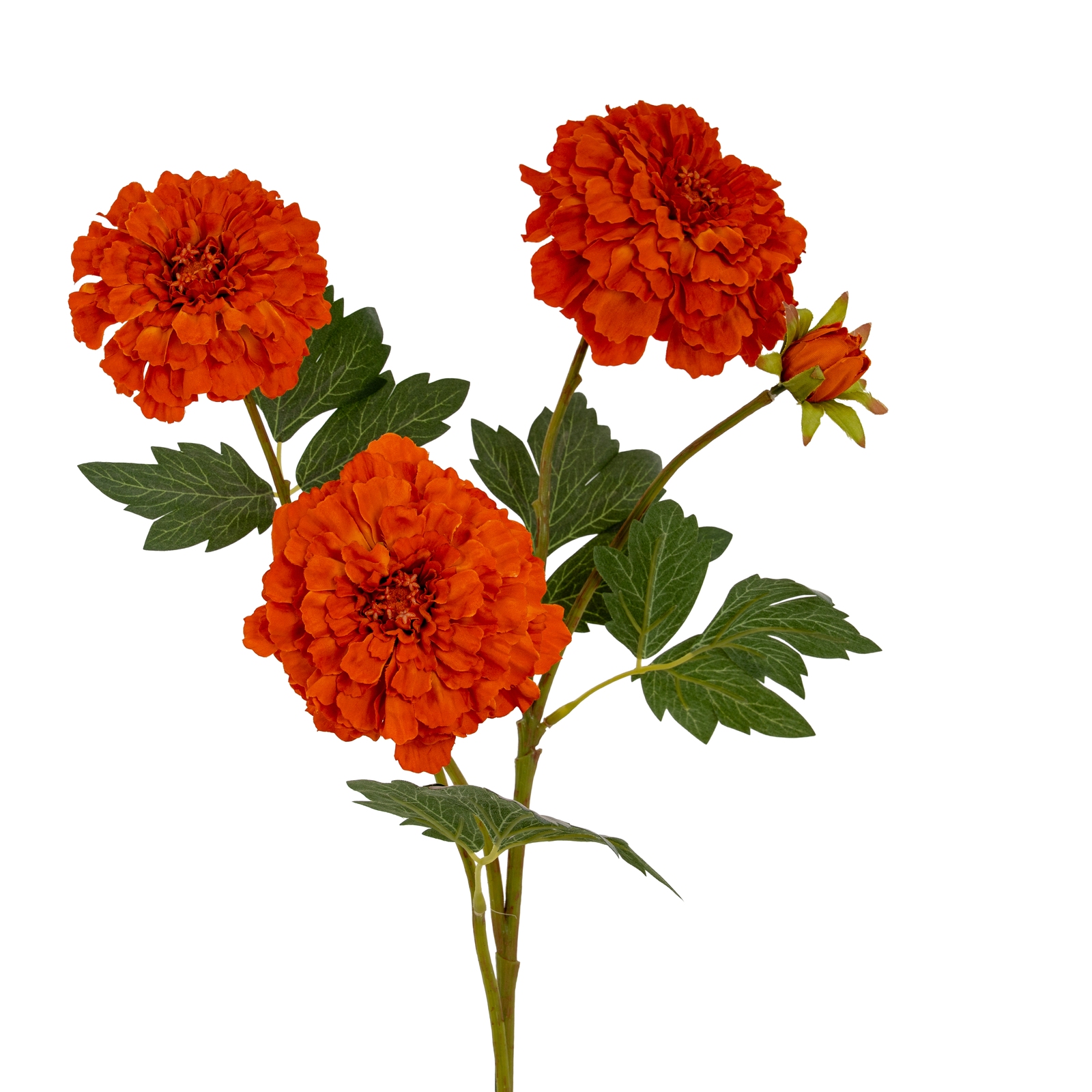 Blanor Orange African Marigold Spray - Large