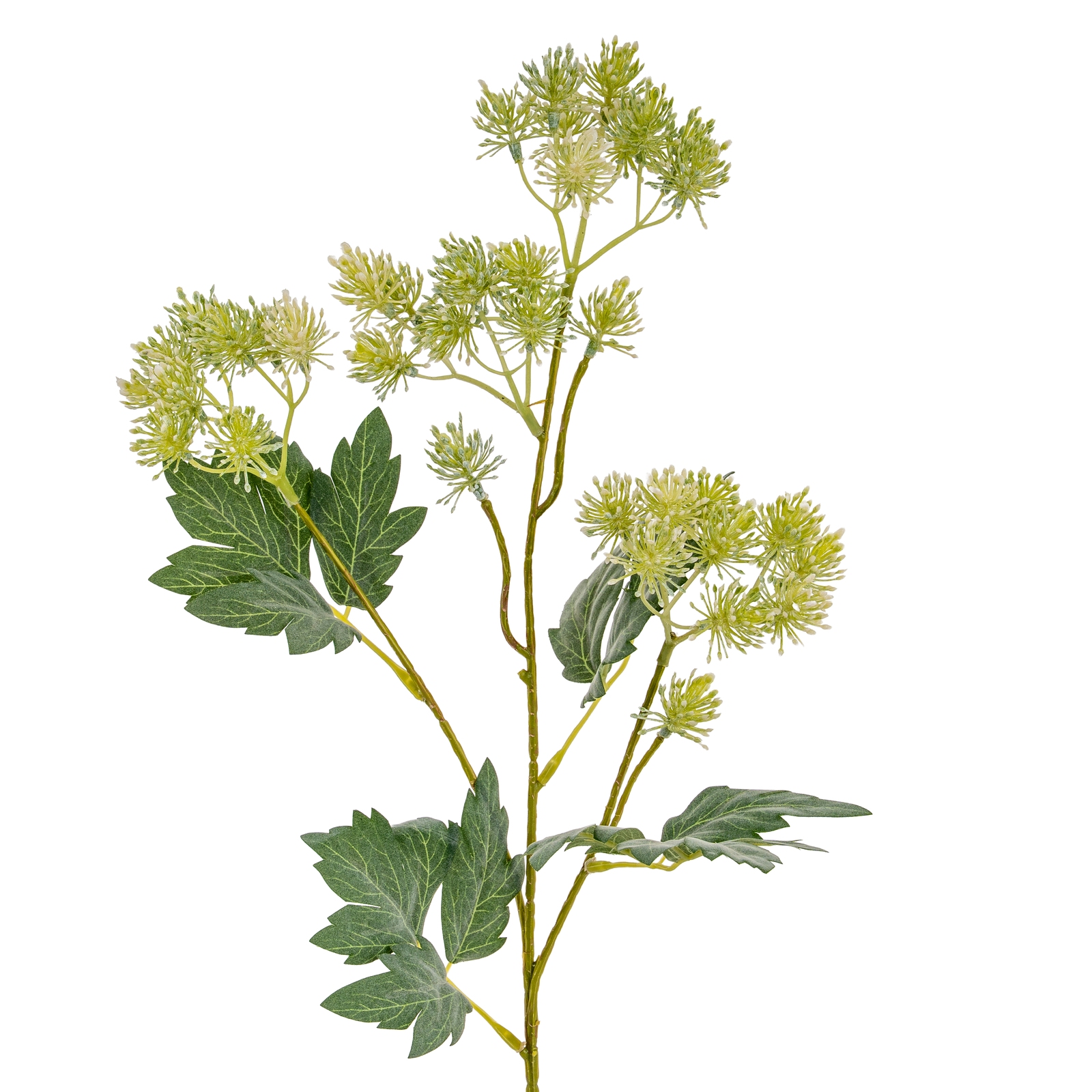 Blanor Green French Meadow Spray