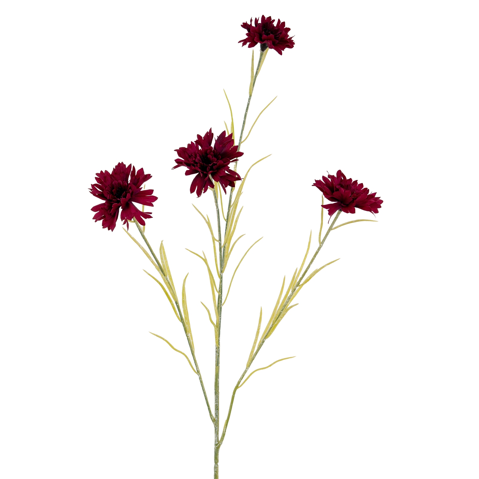 Burgo Cornflower Stem