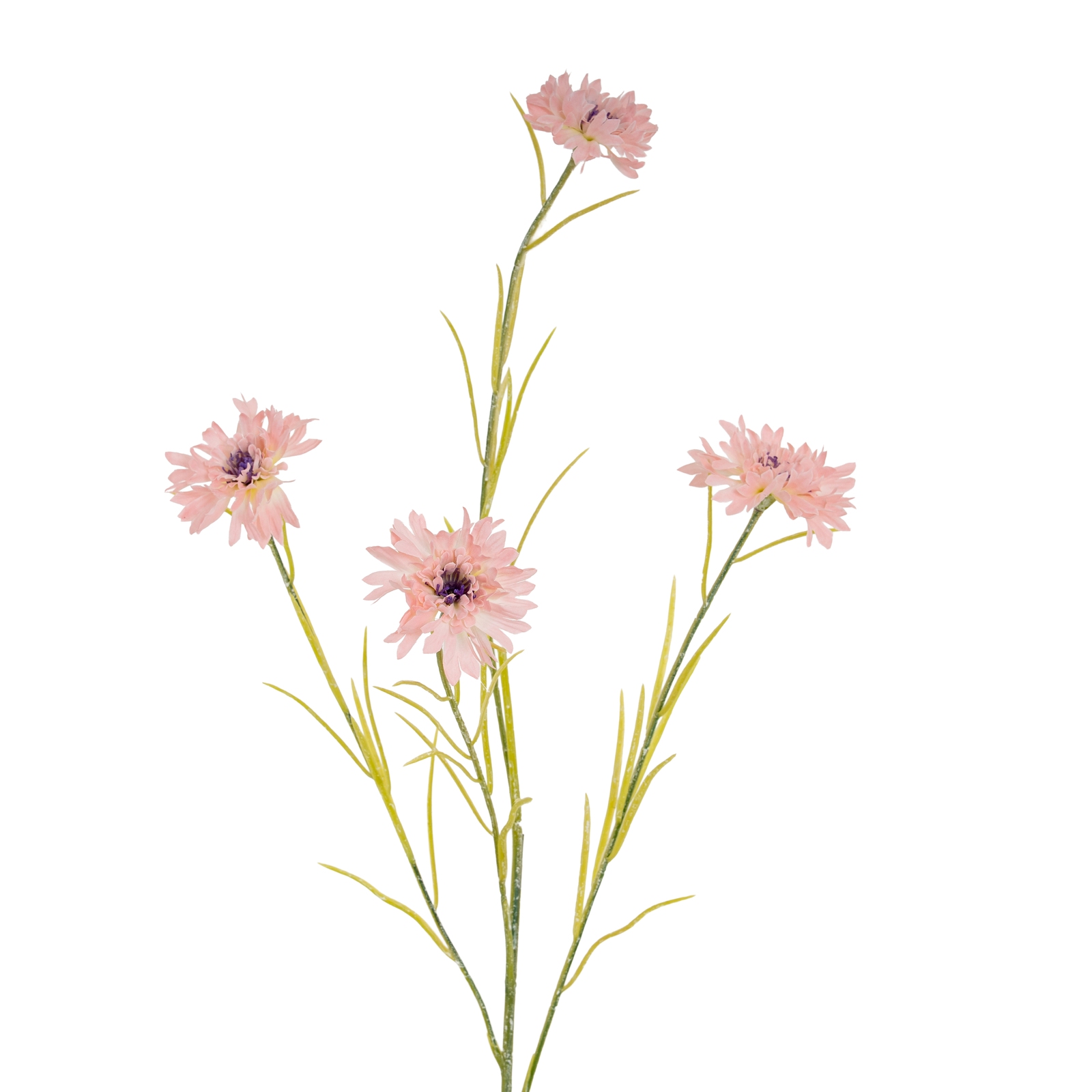 Blanor Pink Cornflower Stem