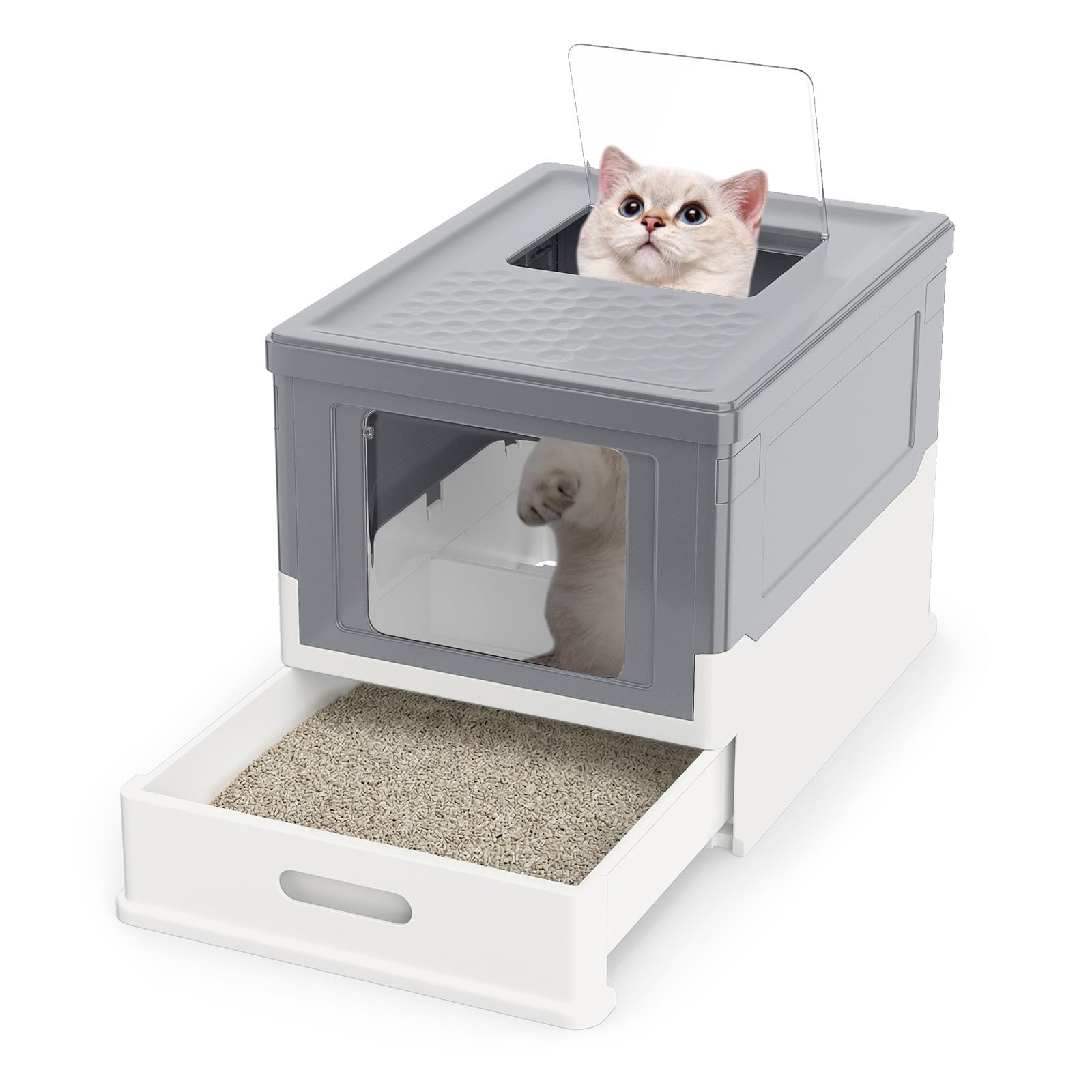 Foldable Enclosed Cat Litter Box with Lid & Dual Entry-Grey