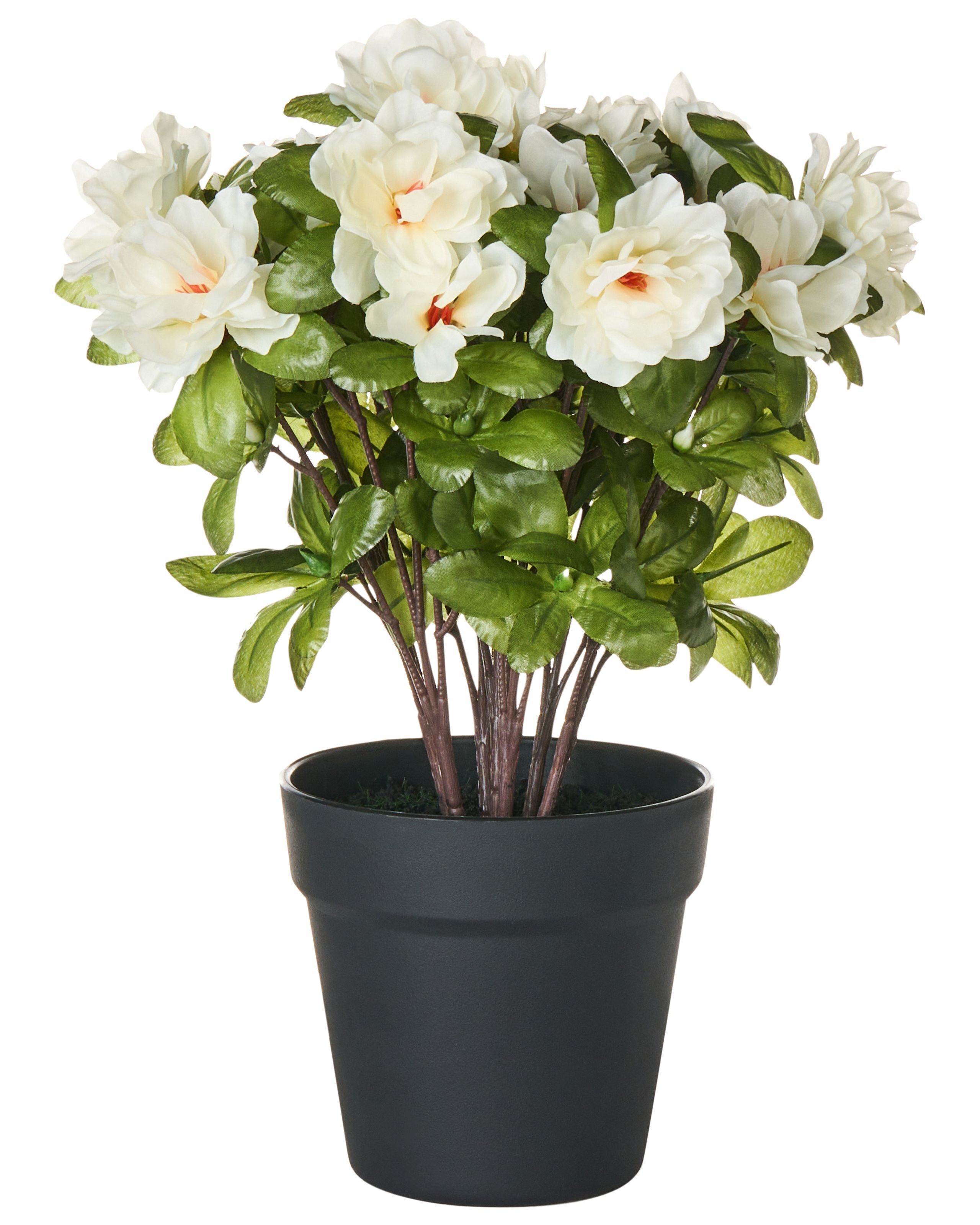 UNDERCOMBE Artificial Plant - White