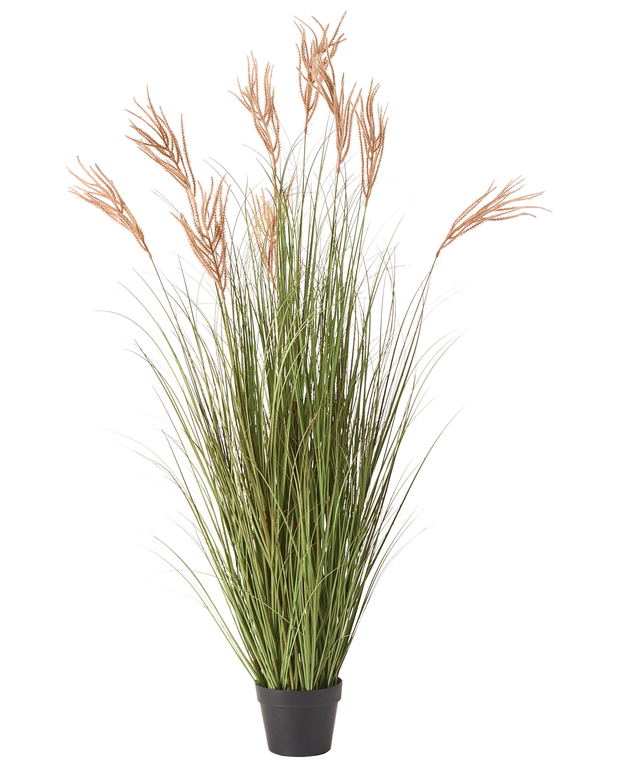 VARNLEIGH Artificial Plant - Green