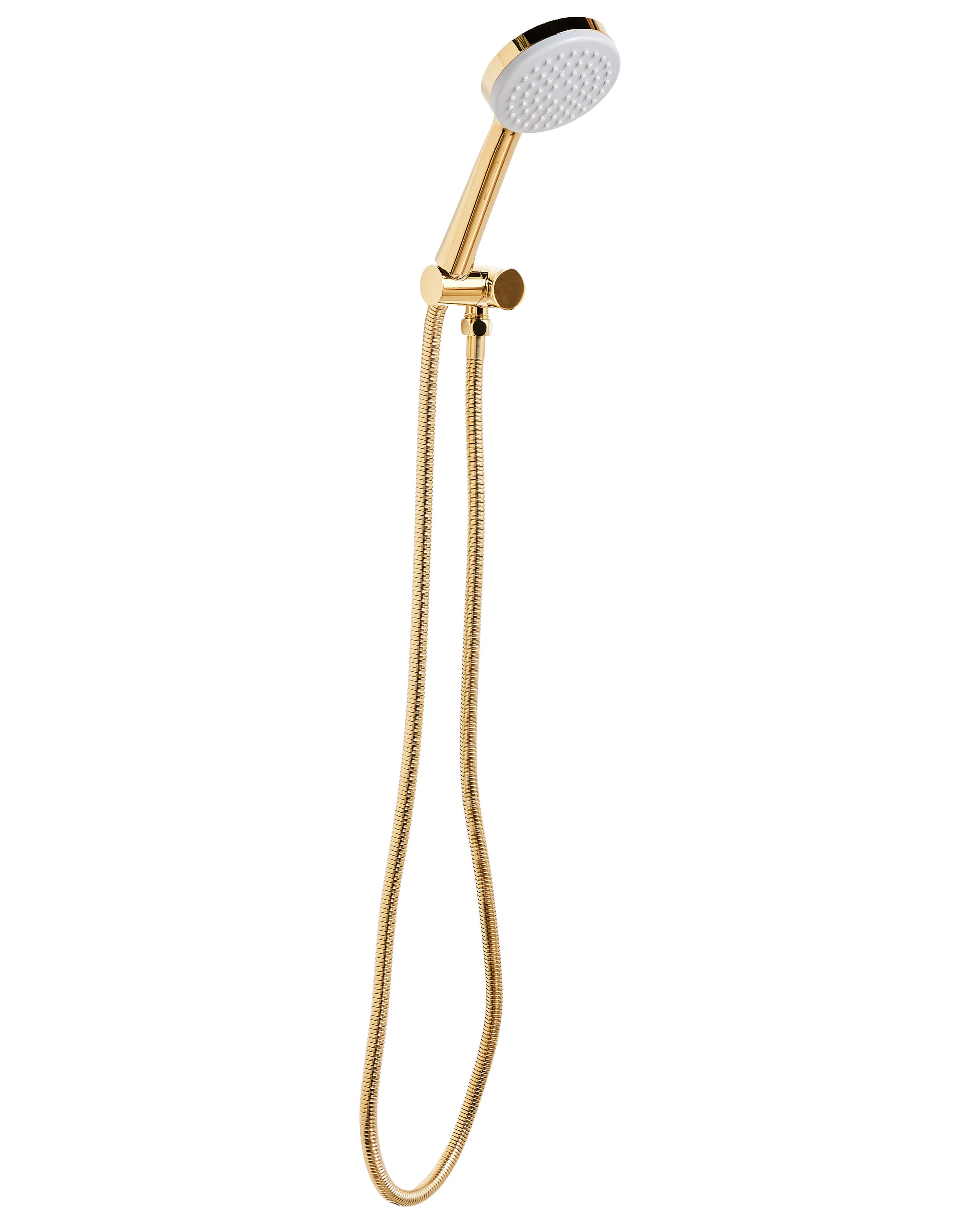 DALWELL Shower Head and Hose Kit - Gold