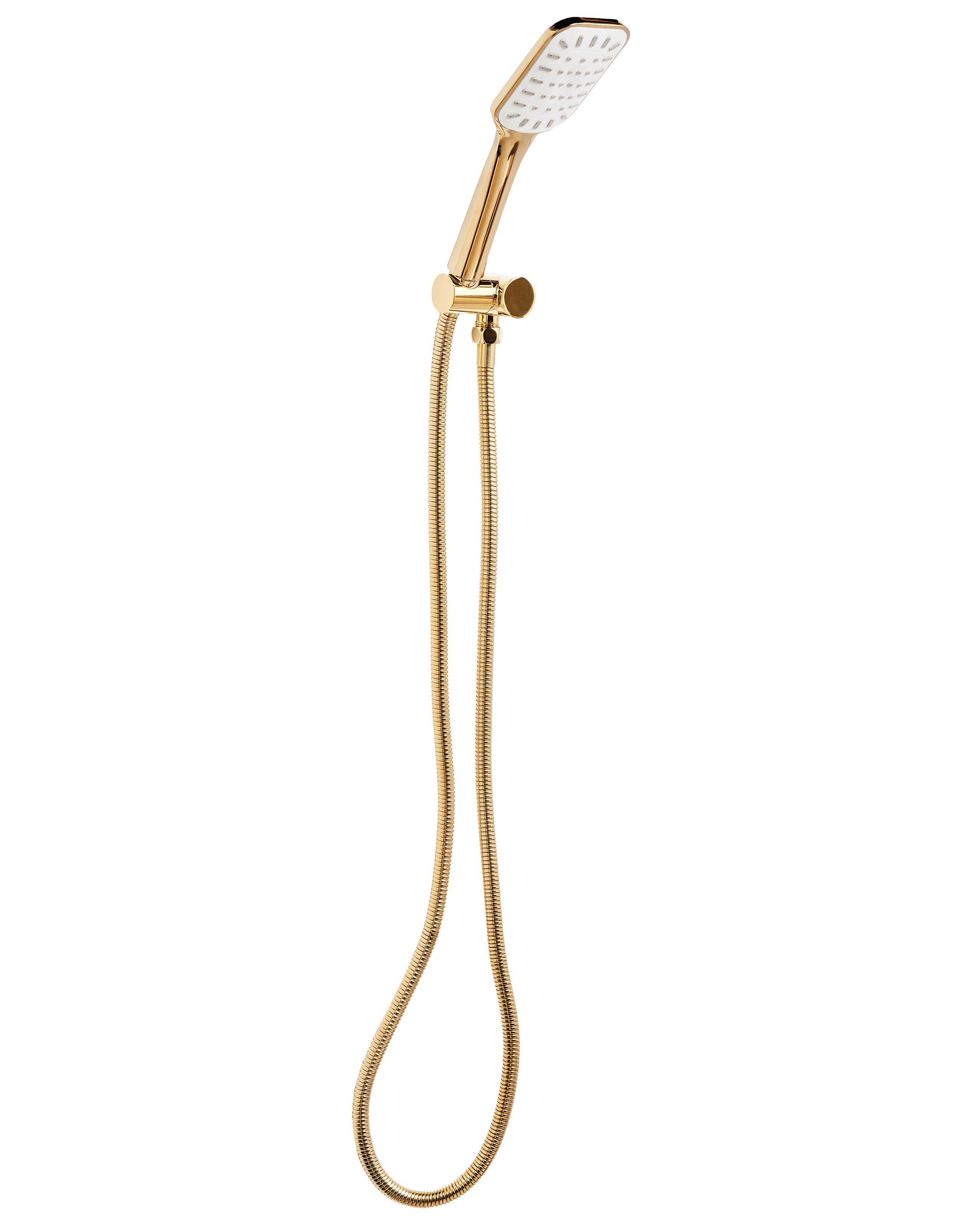 DANCOMBE Shower Head and Hose Kit - Gold