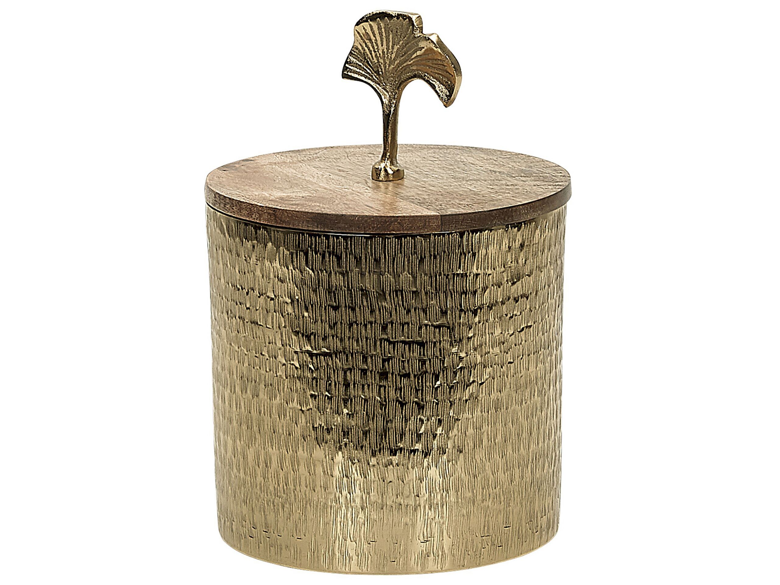 Decorative Container Gold Metal Wooden Lid Round Storage Industrial Glamour
